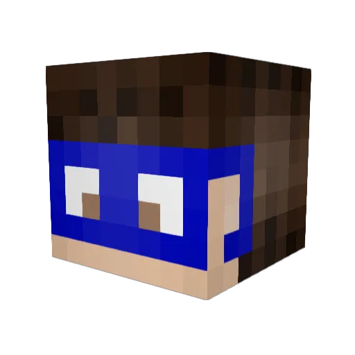 TilHoffenheim Minecraft avatar head, 3D render
