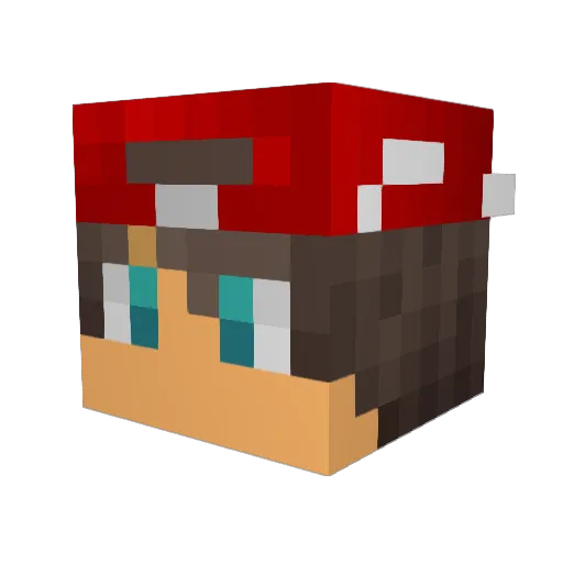 TilSiemer Minecraft avatar head, 3D render