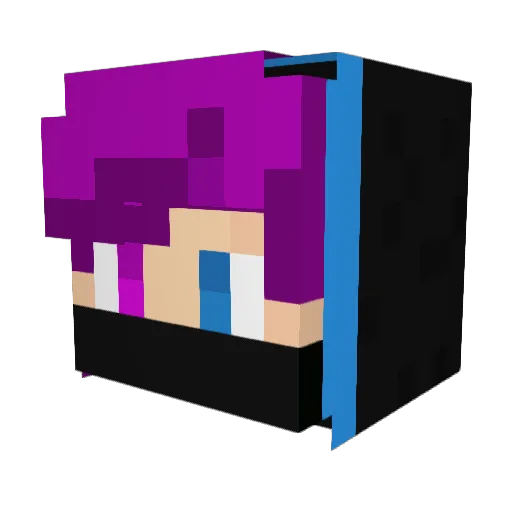 Til_Role Minecraft avatar head, 3D render