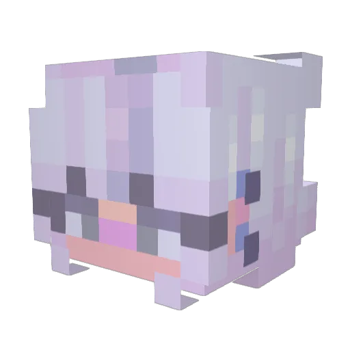 TildaFishy Minecraft avatar head, 3D render