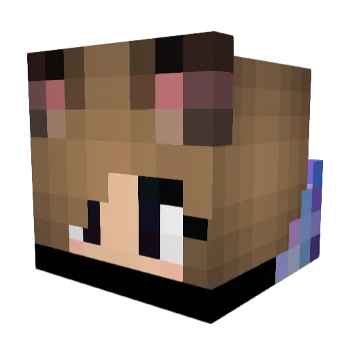 Tilda_Sun Minecraft avatar head, 3D render