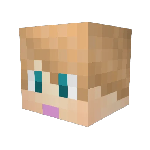 Tildahilda Minecraft avatar head, 3D render