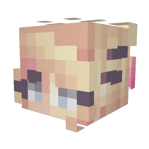 TildePigenDK Minecraft avatar head, 3D render