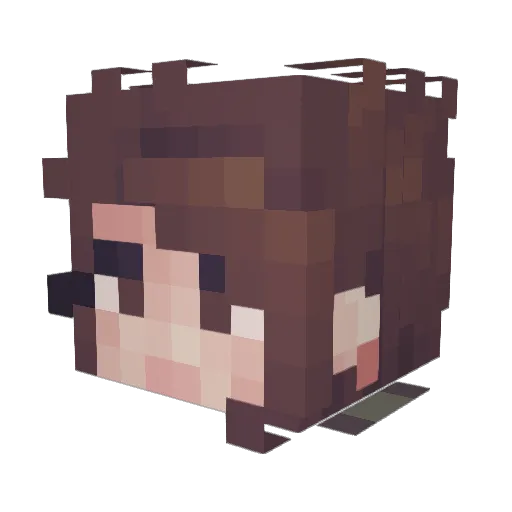TildeSpooky Minecraft avatar head, 3D render