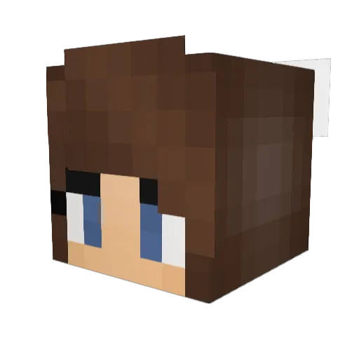 Tilde_G Minecraft avatar head, 3D render