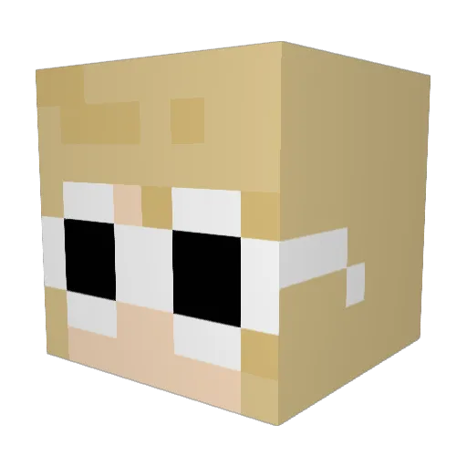 Tildyplayzz Minecraft avatar head, 3D render