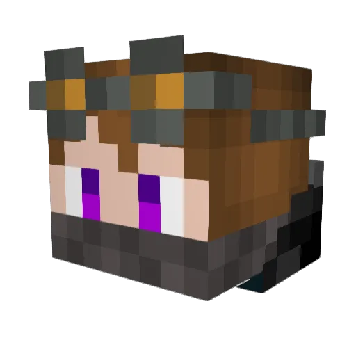 Tiliger79 Minecraft avatar head, 3D render