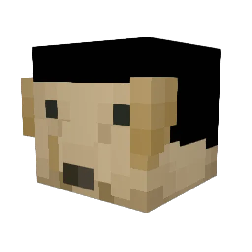 TilinsitoSupremo Minecraft avatar head, 3D render