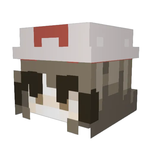 Tiliwen Minecraft avatar head, 3D render