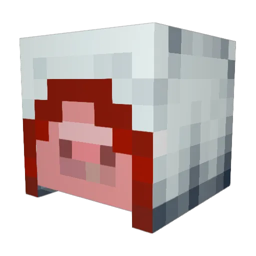 Till8811 Minecraft avatar head, 3D render