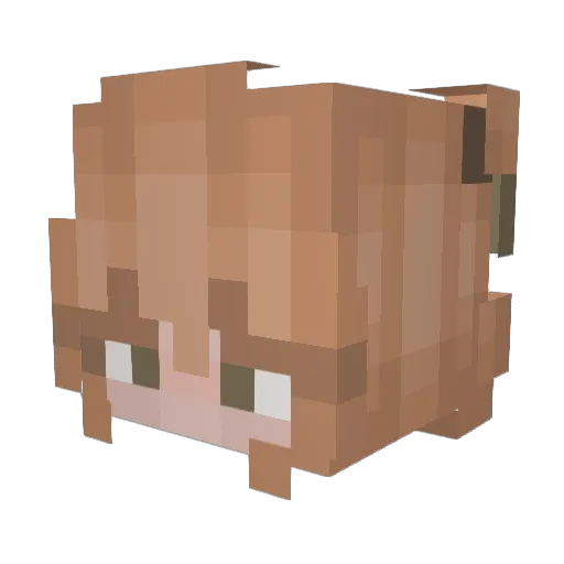 TillFaye Minecraft avatar head, 3D render