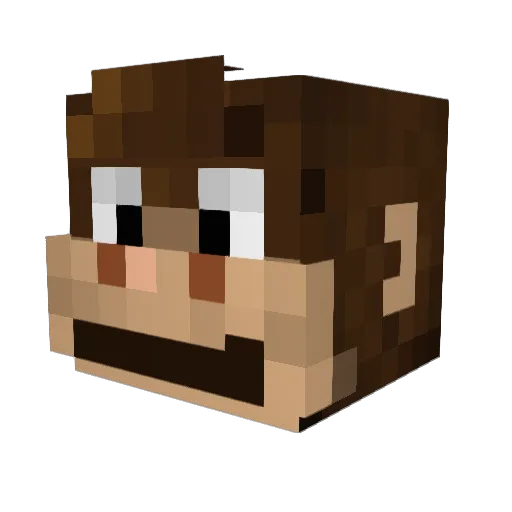 TillKo01 Minecraft avatar head, 3D render