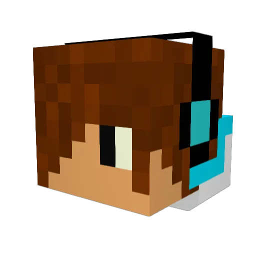 TillPlays_ Minecraft avatar head, 3D render