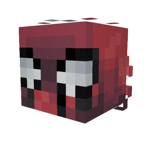 Till_Unknown21 Minecraft avatar head, 3D render