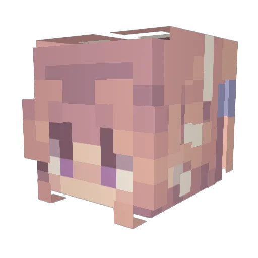 TillaLiten Minecraft avatar head, 3D render