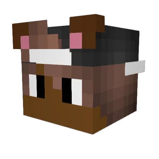 Tillerz Minecraft avatar head, 3D render