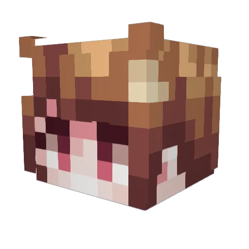 Tillikk2 Minecraft avatar head, 3D render