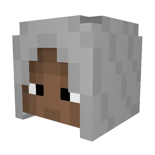 Tillizz Minecraft avatar head, 3D render