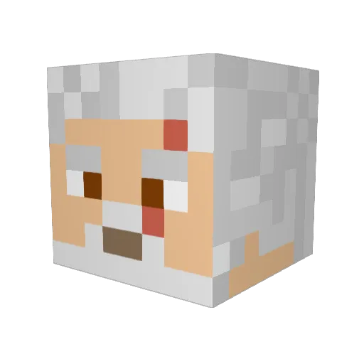 Tillosoph Minecraft avatar head, 3D render