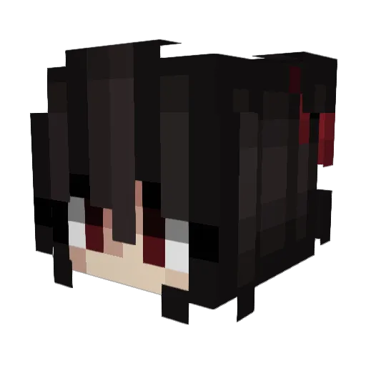 Tillster2012 Minecraft avatar head, 3D render