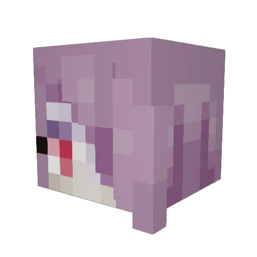 Tilly9078 Minecraft avatar head, 3D render
