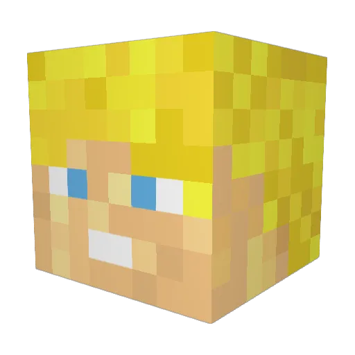 Tilman11 Minecraft avatar head, 3D render