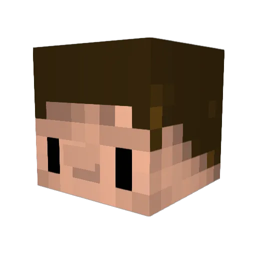 Tilmann1899 Minecraft avatar head, 3D render
