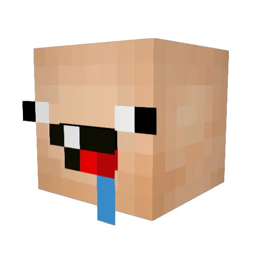 Tiloup5123 Minecraft avatar head, 3D render
