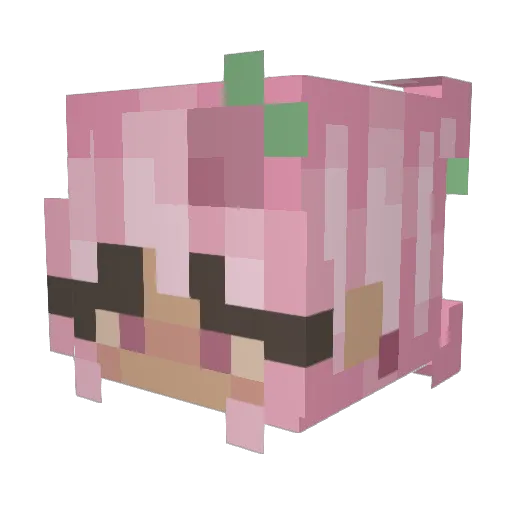 Tilpho Minecraft avatar head, 3D render