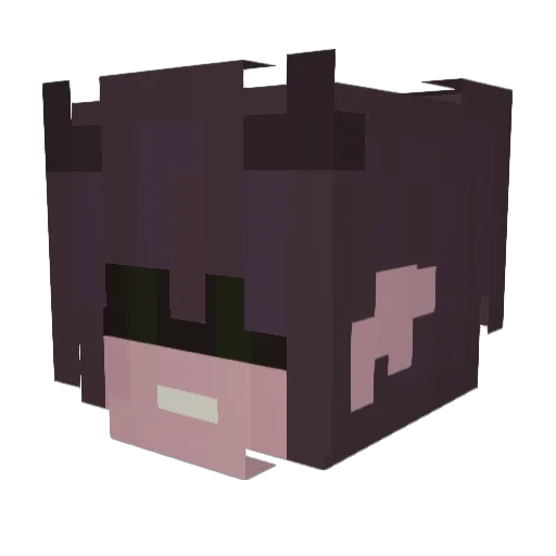 TiltedSalt Minecraft avatar head, 3D render