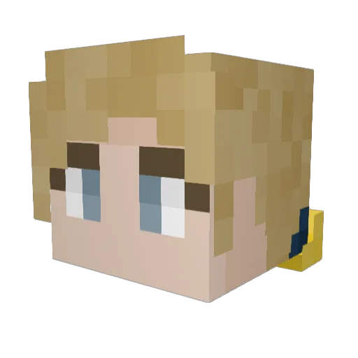 Tilted_Eric Minecraft avatar head, 3D render