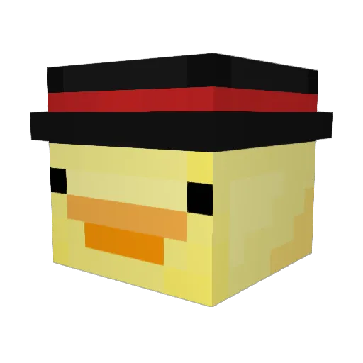 Tilted_Twyn Minecraft avatar head, 3D render