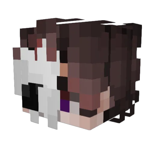 Tim0106 Minecraft avatar head, 3D render