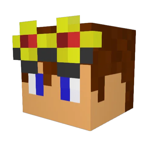 Tim100ok Minecraft avatar head, 3D render