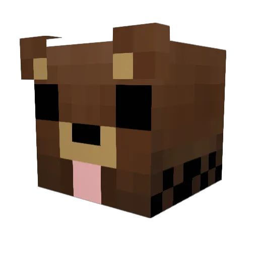 Tim1122334455 Minecraft avatar head, 3D render