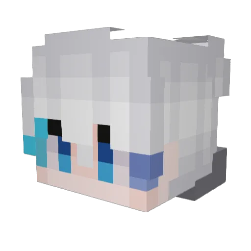 Tim120824qwq Minecraft avatar head, 3D render