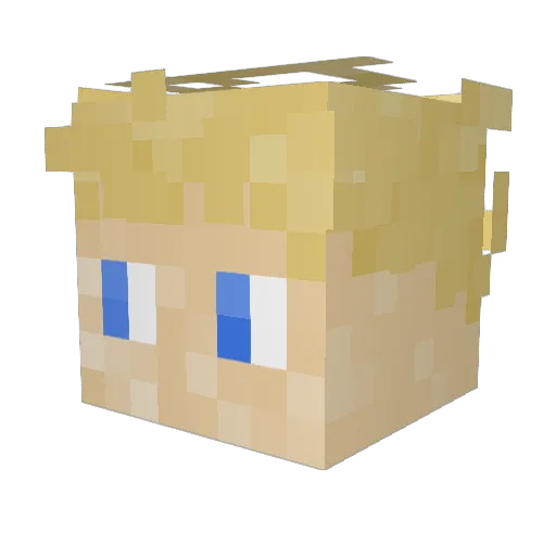 Tim1225 Minecraft avatar head, 3D render
