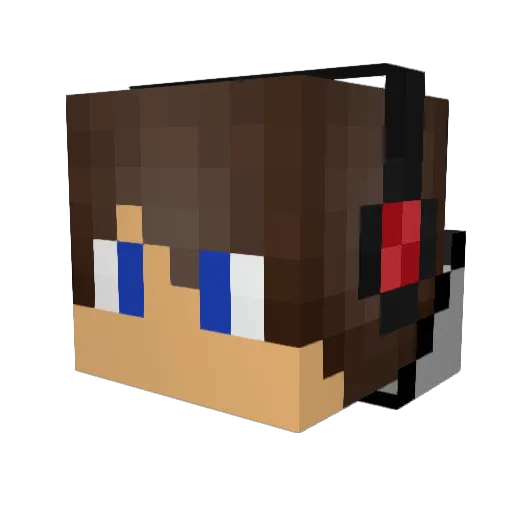 Tim131313 Minecraft avatar head, 3D render