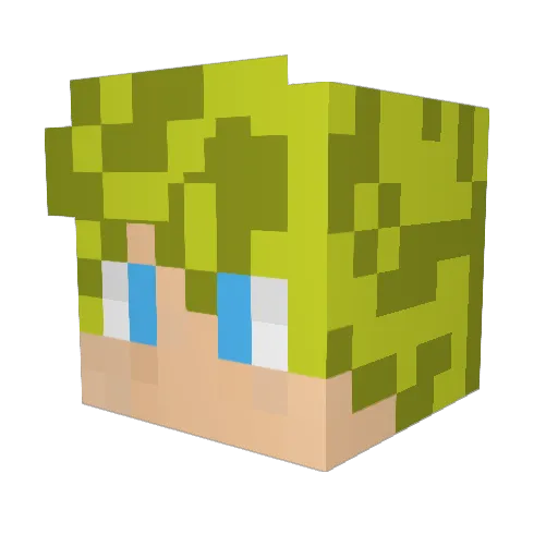 Tim17829 Minecraft avatar head, 3D render
