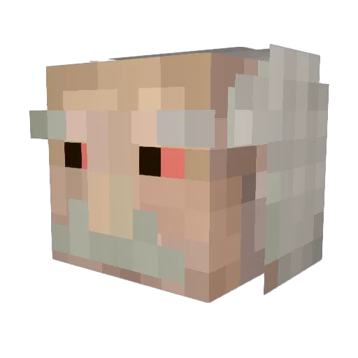 Tim17Sem Minecraft avatar head, 3D render