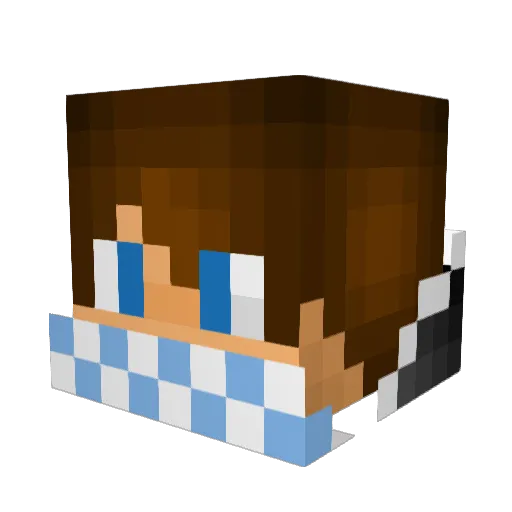 Tim2004 Minecraft avatar head, 3D render