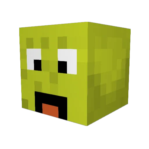 Tim227 Minecraft avatar head, 3D render
