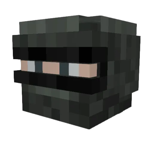 Tim23972 Minecraft avatar head, 3D render