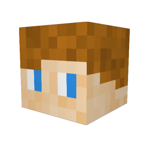 Tim33375 Minecraft avatar head, 3D render