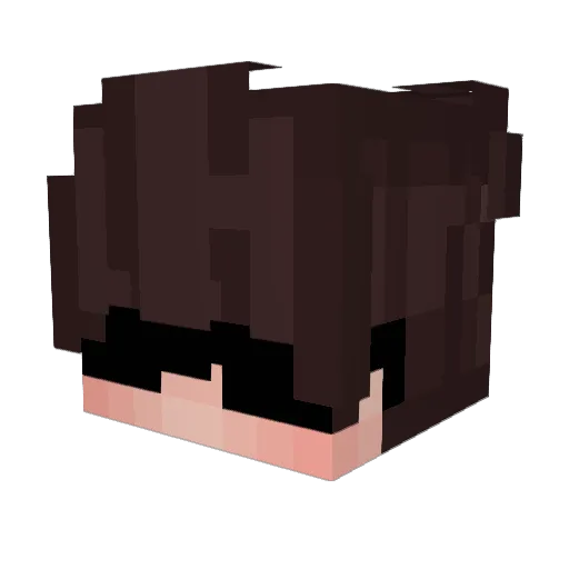 Tim4628 Minecraft avatar head, 3D render