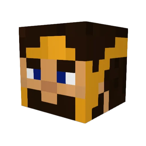 Tim56792322 Minecraft avatar head, 3D render
