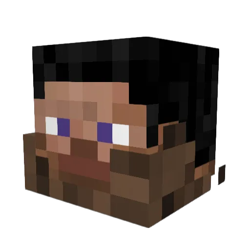 Tim6Hands Minecraft avatar head, 3D render