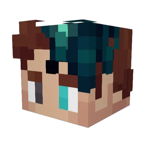 TimAwsomeguy Minecraft avatar head, 3D render