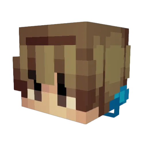 TimDyr Minecraft avatar head, 3D render