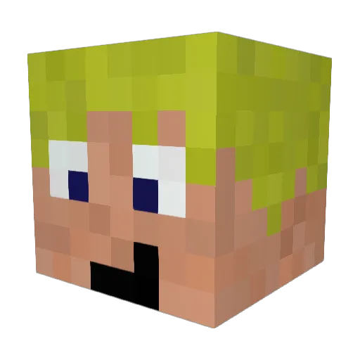 TimLuca27 Minecraft avatar head, 3D render